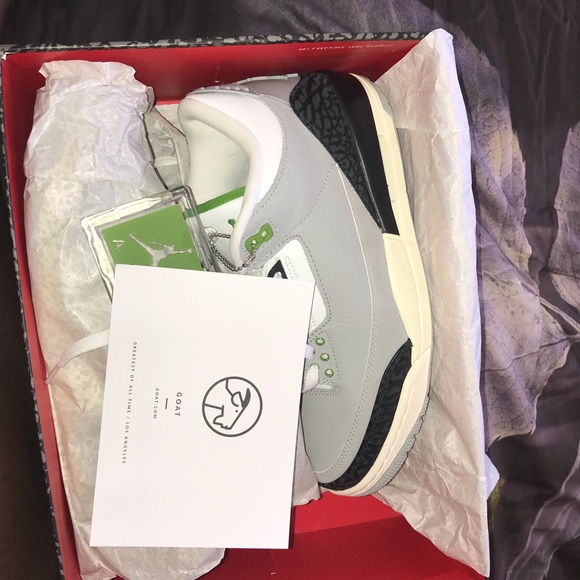 Jordan Other - chlorophyll 3s